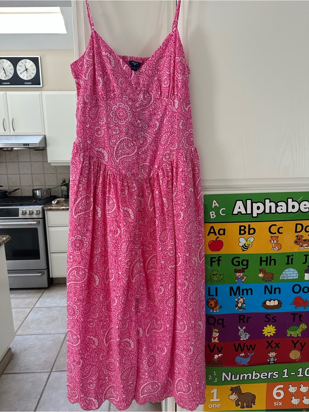 Roller Rabbit Pink Paisley Button-Front Dress - Picture 5 of 5
